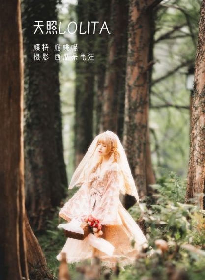 叶落长安第40集免费观看_BD手机免费观看完整